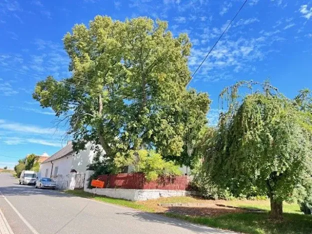 Prodej rodinného domu, Kolešov, 300 m2