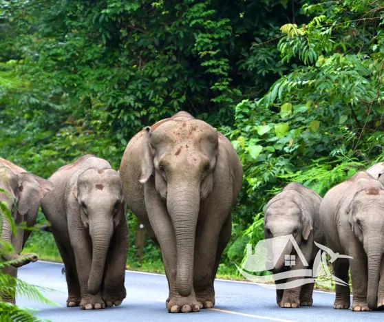 Prodej bytu 2+kk, Pattaya, Thajsko, 32 m2