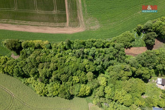 Prodej pozemku pro bydlení, Třebařov, 2559 m2