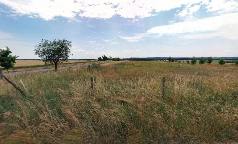 Prodej pole, Maršov, 31902 m2