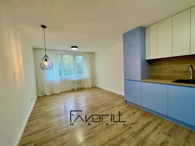 Pronájem bytu 2+kk, Ostrava, Lužická, 39 m2