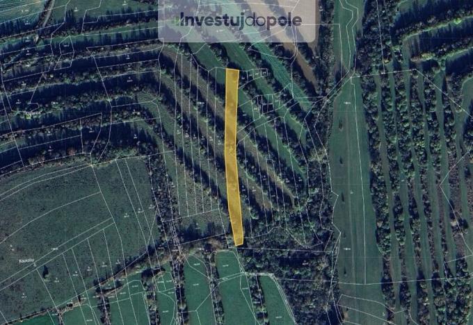 Prodej pole, Boršice, 1285 m2