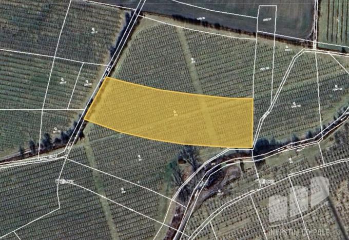 Prodej pole, Liběšice - Soběnice, 3704 m2
