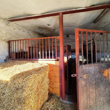 Pronájem pozemku, Straškov-Vodochody, 13702 m2