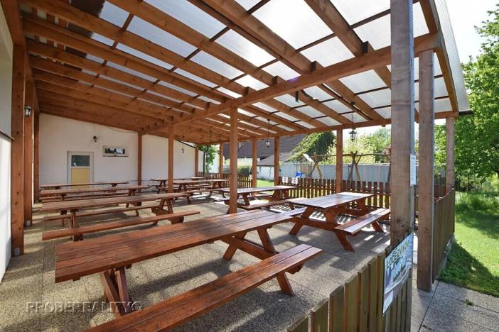 Prodej restaurace, Zvíkovské Podhradí, 780 m2