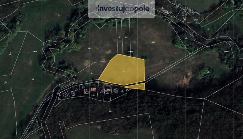 Prodej louky, Bojanovice - Malá Lečice, 4632 m2