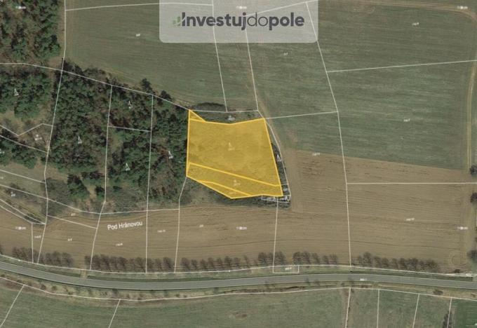 Prodej lesa, Čepřovice, 4837 m2