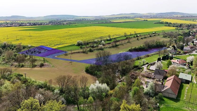 Prodej pozemku pro bydlení, Polepy, 13045 m2