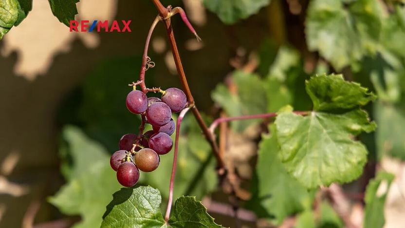 Prodej rodinného domu, Dolní Podluží, 537 m2