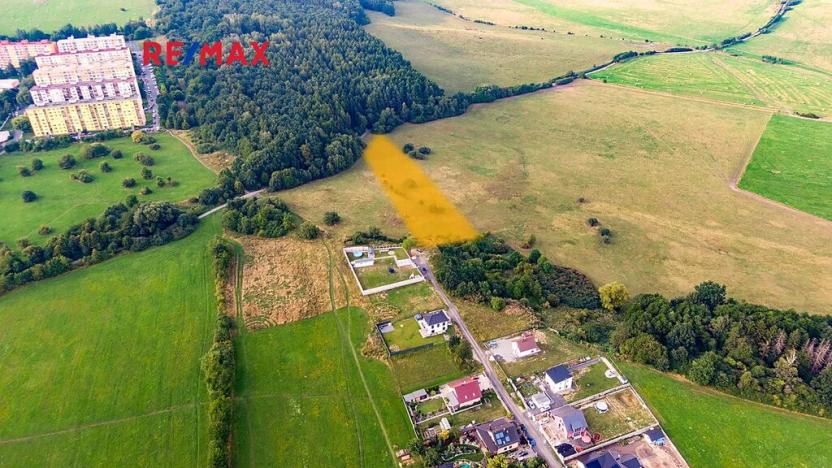 Prodej louky, Česká Lípa, 9571 m2