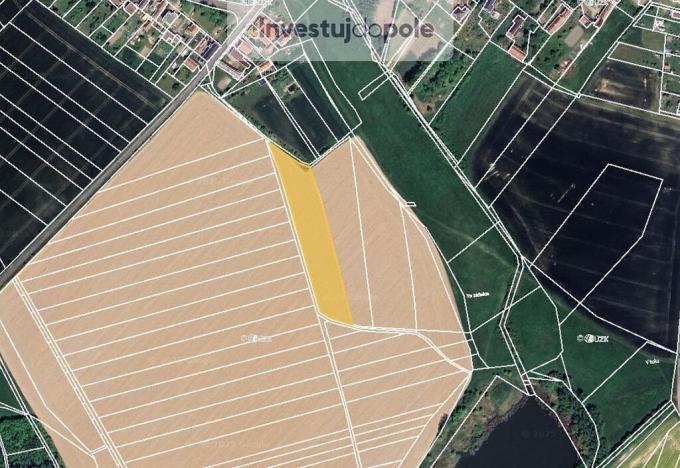Prodej pole, Babice, 1682 m2