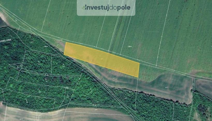 Prodej pole, Chožov - Třtěno, 5755 m2