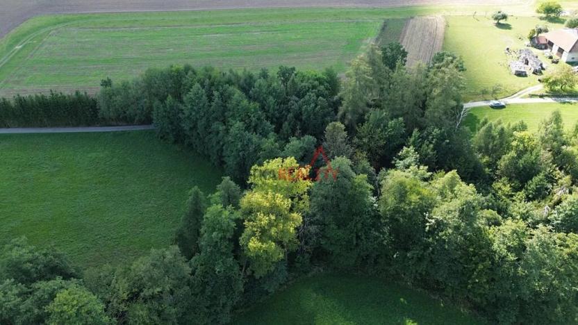 Prodej pozemku, Jeřišno, 2804 m2