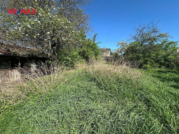 Prodej rodinného domu, Kralovice, Na Palcátech, 220 m2