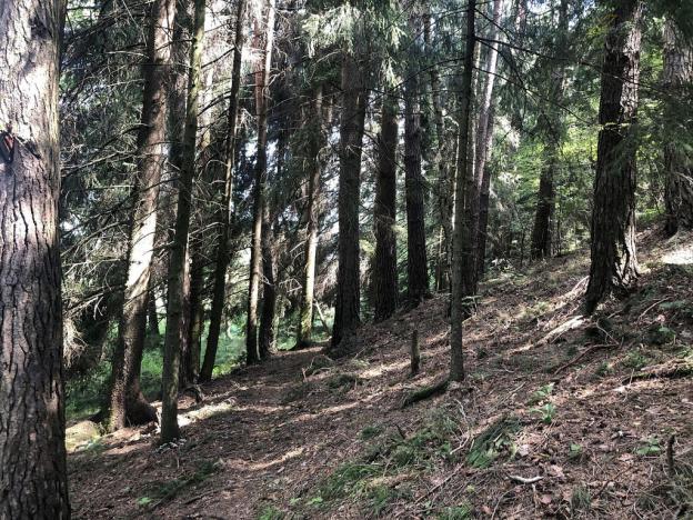 Prodej pole, Kaplice - Žďár, 2302 m2