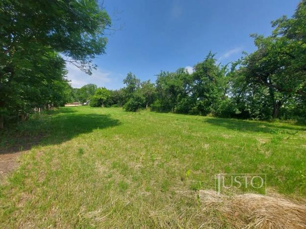 Prodej pozemku pro bydlení, Dražíč, 2918 m2