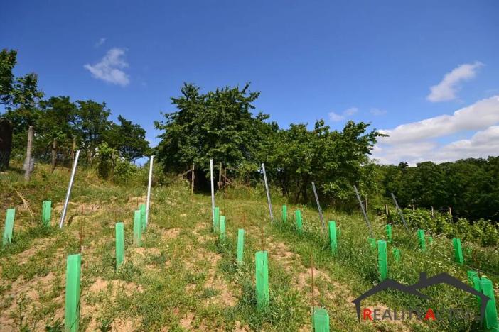 Prodej sadu/vinice, Bzenec, 2460 m2