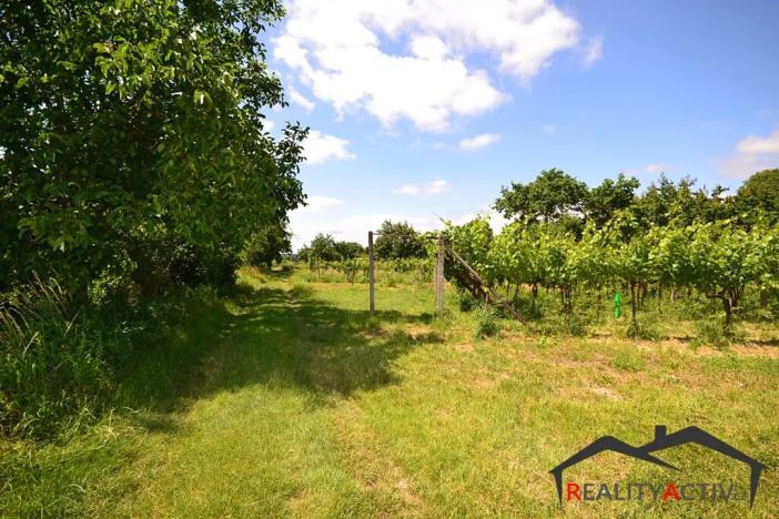 Prodej sadu/vinice, Bzenec, 2460 m2