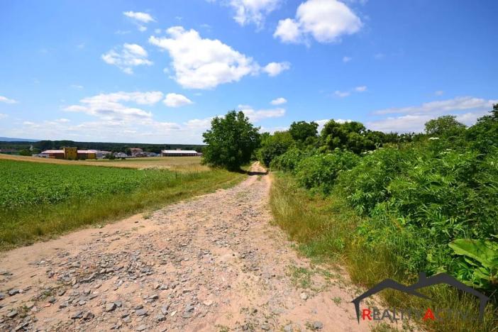 Prodej sadu/vinice, Bzenec, 2460 m2