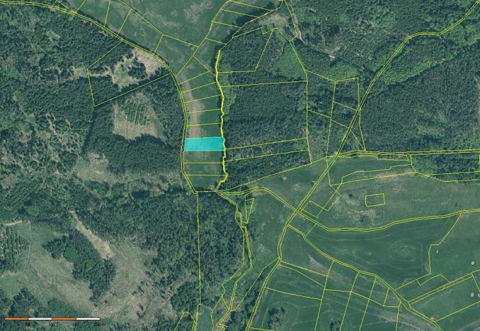 Prodej louky, Velká Turná, 2199 m2