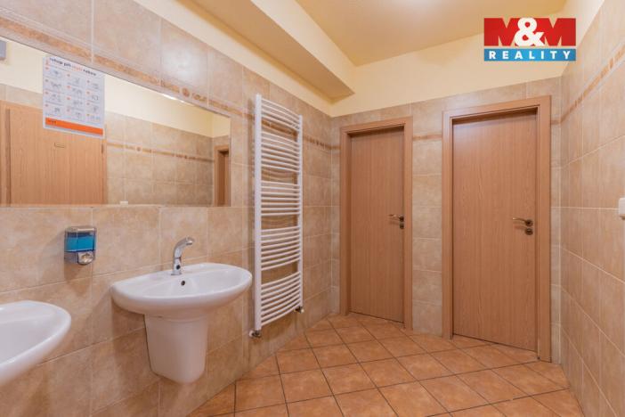 Pronájem restaurace, Malšice - Čenkov, 308 m2