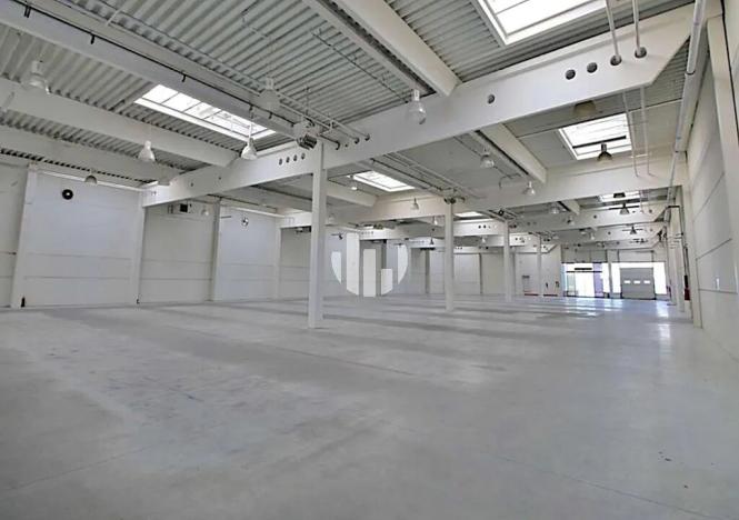 Pronájem obchodního prostoru, Liberec, Doubská, 2750 m2