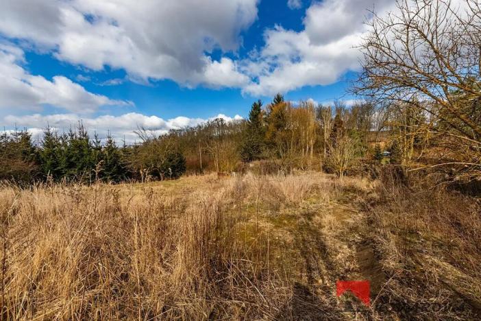 Prodej pozemku pro bydlení, Řepín, 707 m2