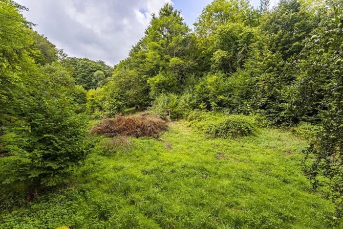 Prodej pozemku pro bydlení, Jílové u Prahy, Husova, 3117 m2