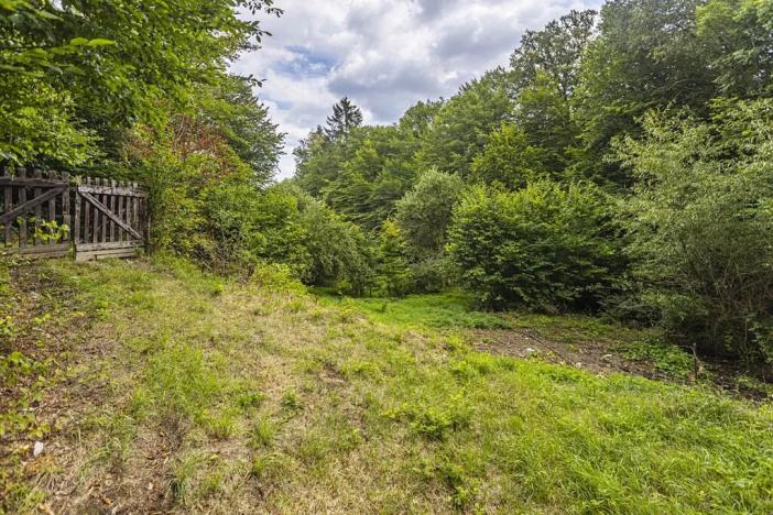 Prodej chaty, Jílové u Prahy, Husova, 74 m2