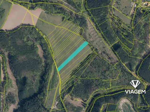 Prodej podílu lesa, Nosálov, 2172 m2