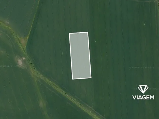 Prodej podílu pole, Nepřevázka, 6530 m2