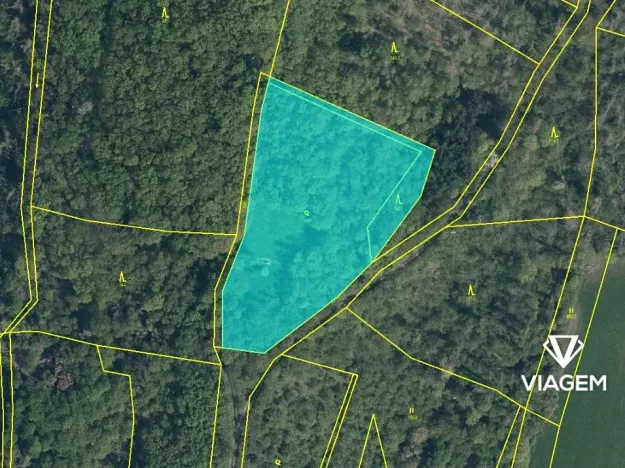 Prodej podílu lesa, Dobrovice, 2060 m2