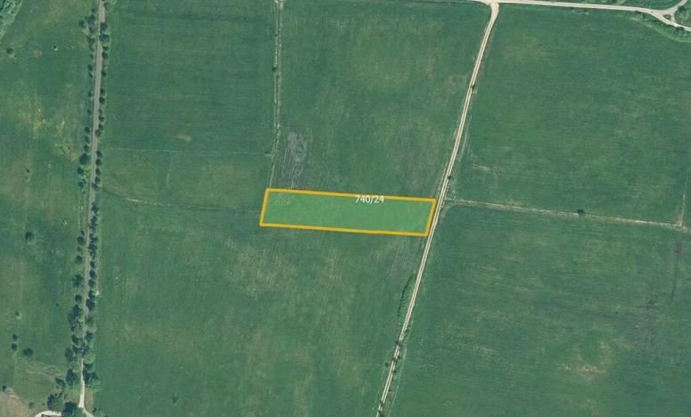 Prodej louky, Cerhonice, 41957 m2