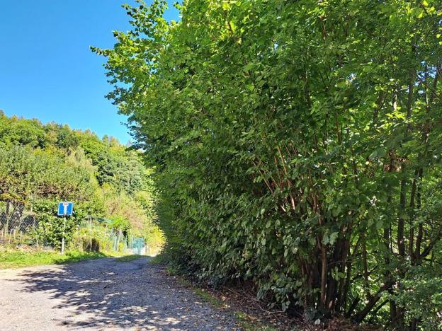 Prodej pozemku pro bydlení, Zlín, 3547 m2