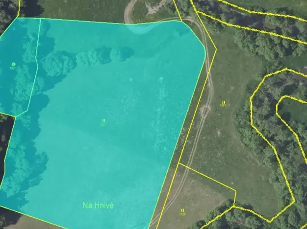 Prodej lesa, Louňovice pod Blaníkem, 8755 m2