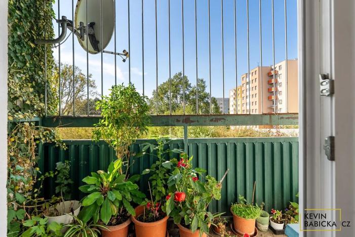 Prodej bytu 3+1, Brno, Zikova, 76 m2