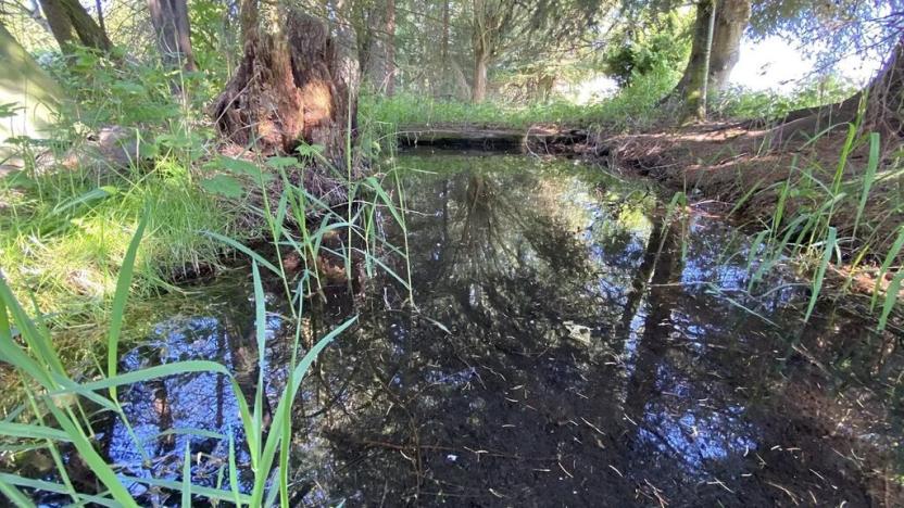 Prodej pozemku pro bydlení, Plzeň, 1019 m2