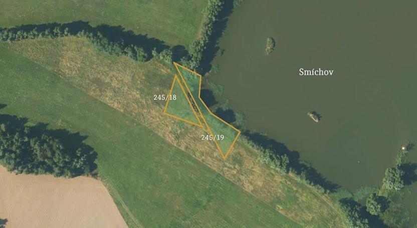 Prodej podílu pole, Borovná, 60983 m2