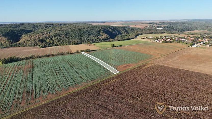 Prodej pole, Tulešice, 17859 m2