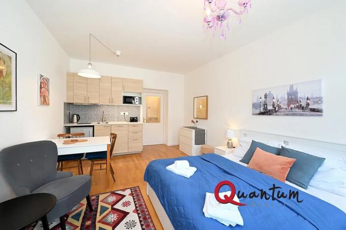 Pronájem bytu 1+kk, Praha - Vinohrady, Záhřebská, 30 m2
