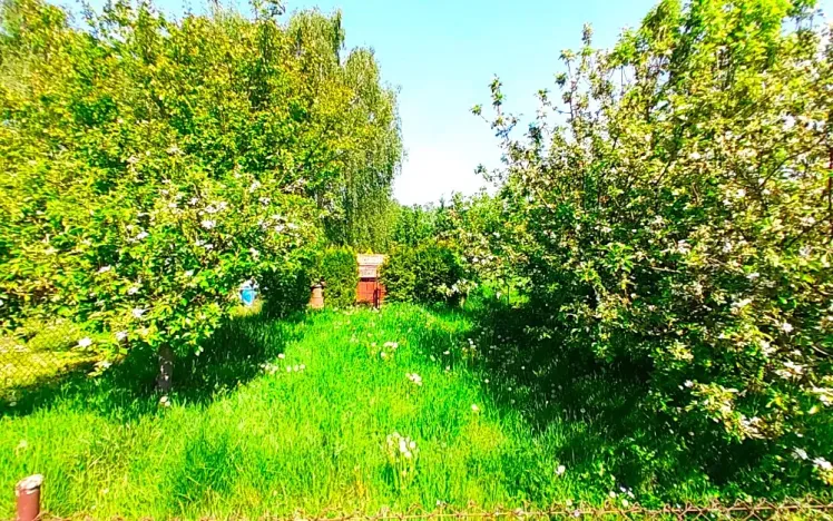 Prodej rodinného domu, Chvaletice, Nerudova, 63 m2