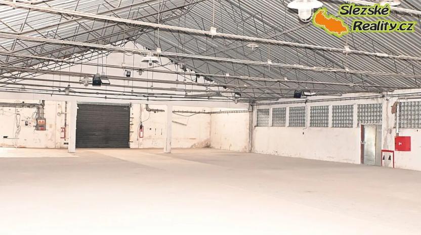 Pronájem skladu, Ostrava, Výškovická, 740 m2