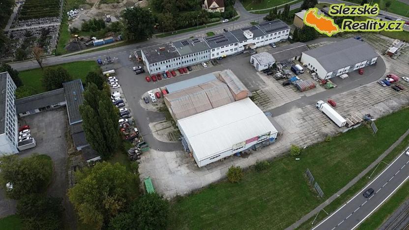 Pronájem skladu, Ostrava, Výškovická, 907 m2