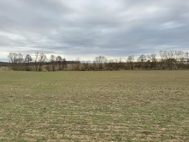 Prodej sadu/vinice, Malotice, 12163 m2