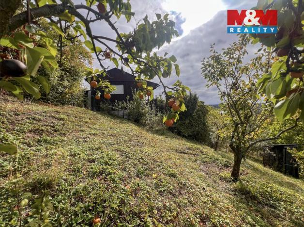 Prodej zahrady, Litoměřice - Litoměřice-Město, 1686 m2