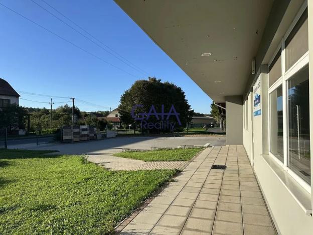 Pronájem obchodního prostoru, Louka, 597 m2