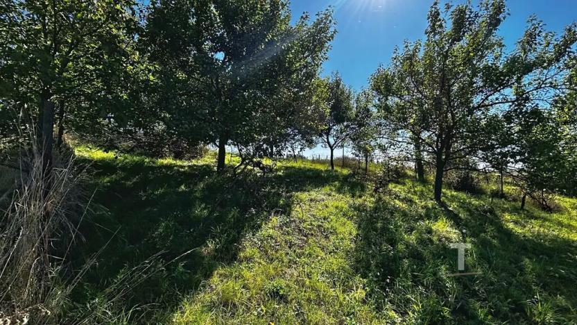 Prodej zahrady, Kyjov, 1046 m2