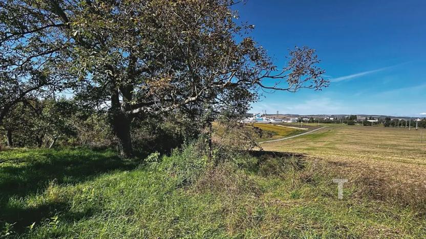 Prodej zahrady, Kyjov, 1046 m2