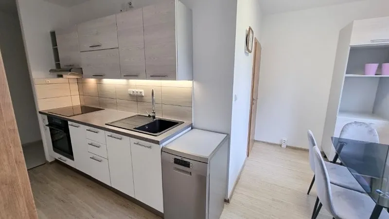 Pronájem bytu 2+1, Jihlava, Tylova, 56 m2