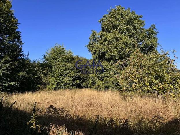 Prodej rodinného domu, Mladějov na Moravě, 764 m2